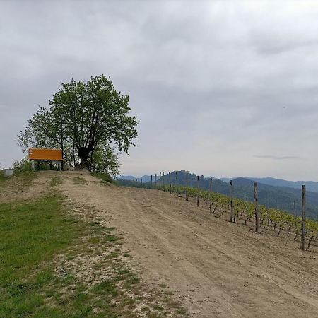 Готель Monferrato Bed&Bike Murisengo Екстер'єр фото