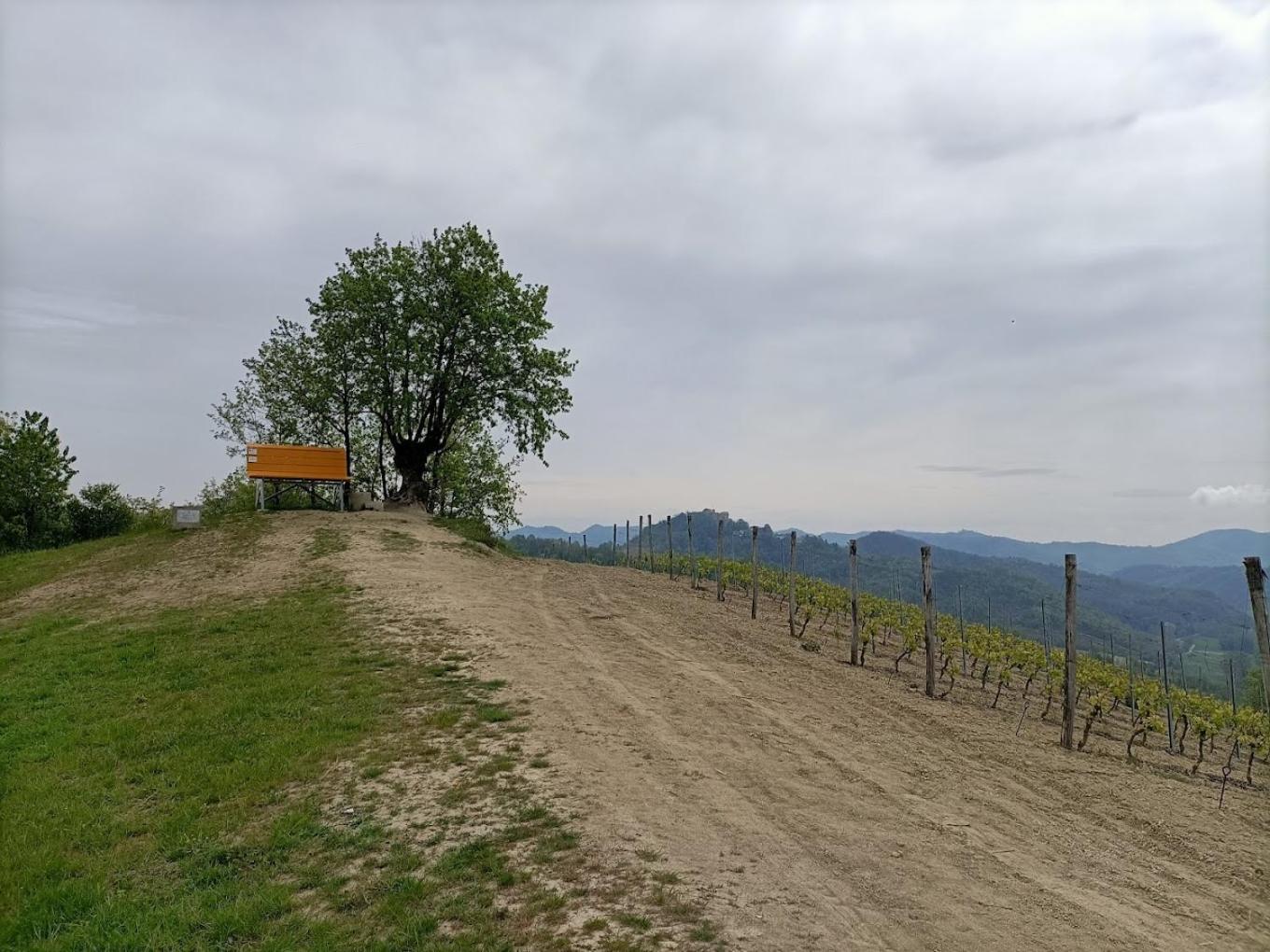 Готель Monferrato Bed&Bike Murisengo Екстер'єр фото
